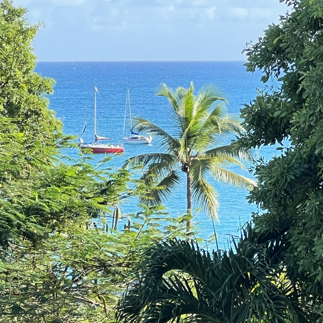 Gîte Hibiscus, SCI ADOLPHE HIBISCUS